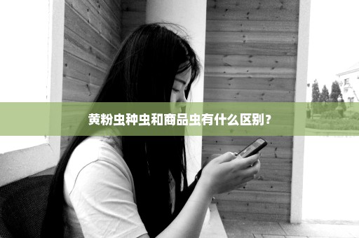 黄粉虫种虫和商品虫有什么区别？