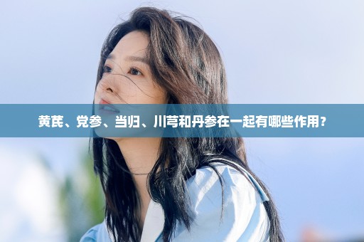 黄芪、党参、当归、川芎和丹参在一起有哪些作用？