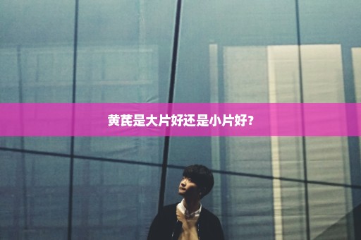 黄芪是大片好还是小片好？