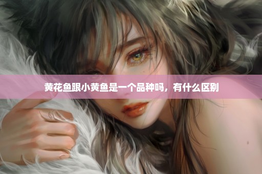 黄花鱼跟小黄鱼是一个品种吗，有什么区别