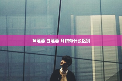 黄莲蓉 白莲蓉 月饼有什么区别