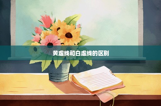 黄虚线和白虚线的区别