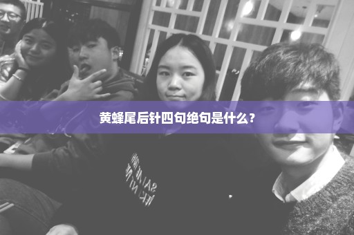 黄蜂尾后针四句绝句是什么？