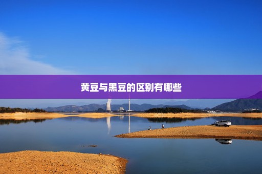 黄豆与黑豆的区别有哪些