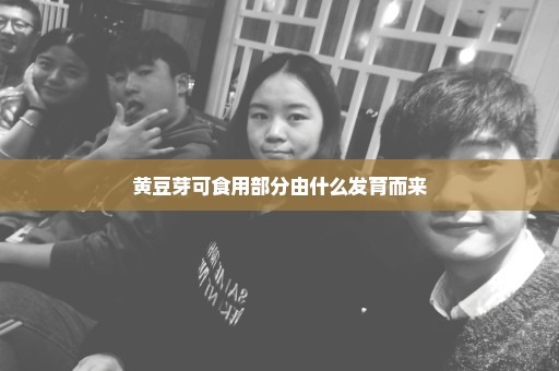 黄豆芽可食用部分由什么发育而来