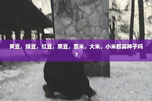 黄豆，绿豆，红豆，黑豆，薏米，大米，小米都算种子吗？