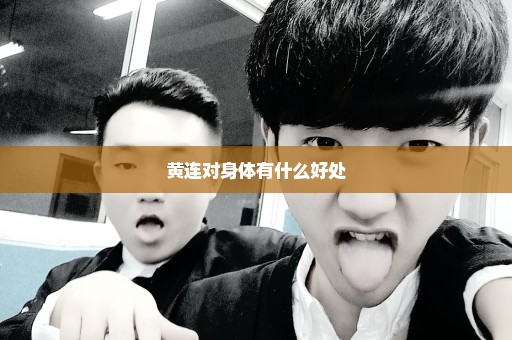 黄连对身体有什么好处