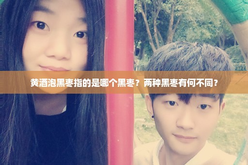 黄酒泡黑枣指的是哪个黑枣？两种黑枣有何不同？