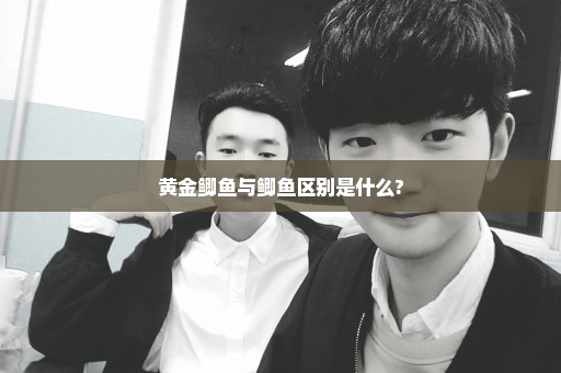 黄金鲫鱼与鲫鱼区别是什么?