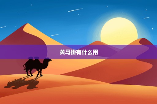 黄马褂有什么用