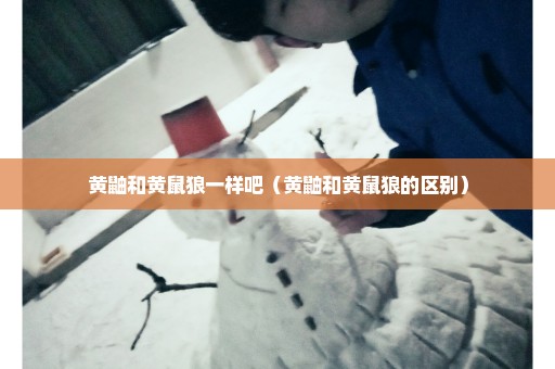 黄鼬和黄鼠狼一样吧（黄鼬和黄鼠狼的区别）