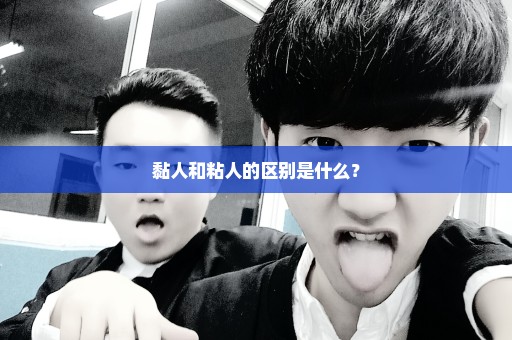 黏人和粘人的区别是什么？