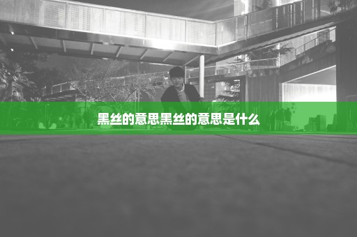 黑丝的意思黑丝的意思是什么