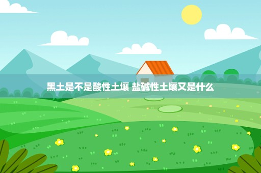 黑土是不是酸性土壤 盐碱性土壤又是什么