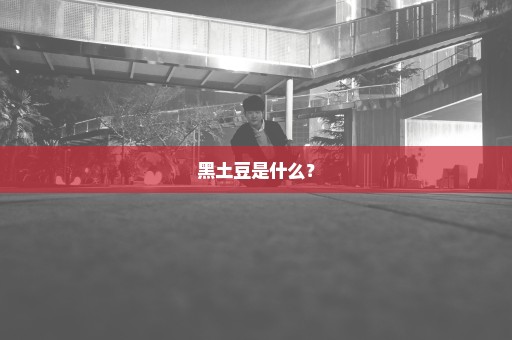 黑土豆是什么？