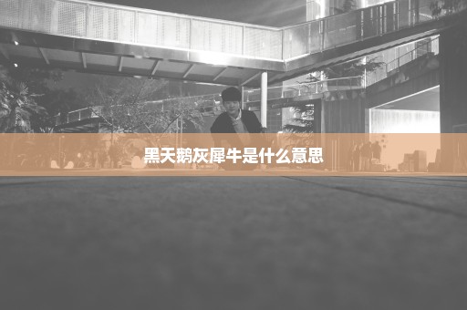 黑天鹅灰犀牛是什么意思
