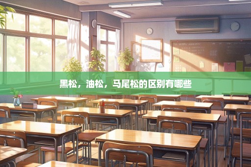 黑松，油松，马尾松的区别有哪些