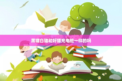 黑猫白猫和好猫充电桩一样的吗