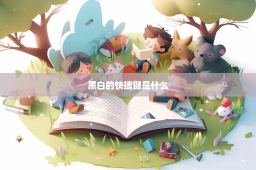 黑白的快捷键是什么