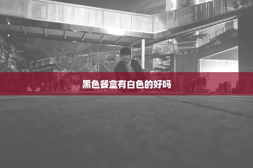 黑色餐盒有白色的好吗