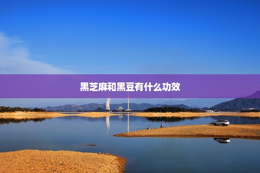 黑芝麻和黑豆有什么功效