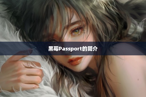 黑莓Passport的简介