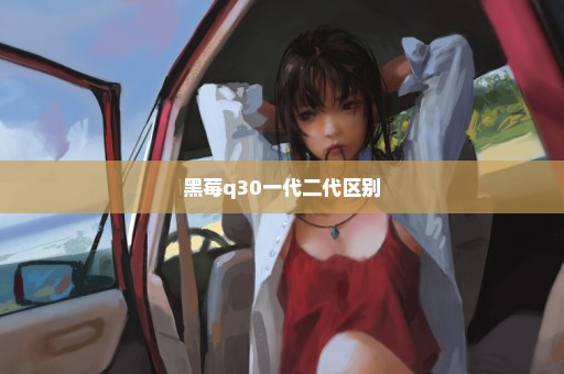 黑莓q30一代二代区别