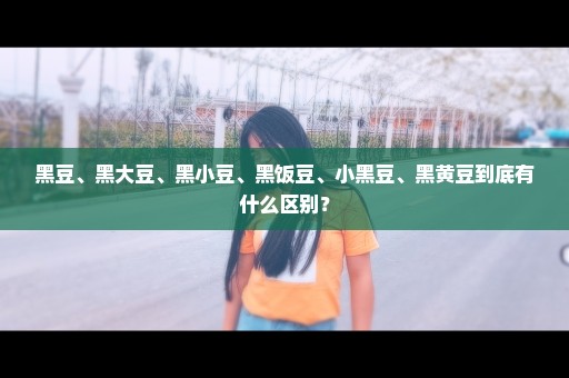 黑豆、黑大豆、黑小豆、黑饭豆、小黑豆、黑黄豆到底有什么区别？