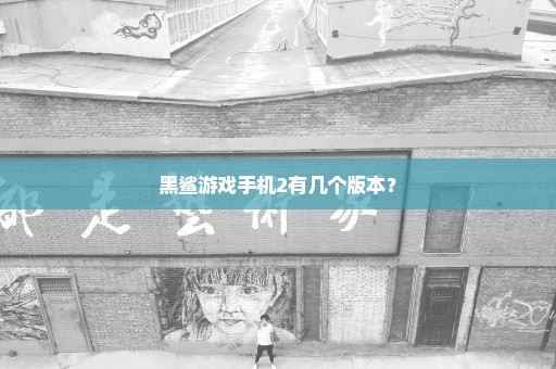 黑鲨游戏手机2有几个版本？