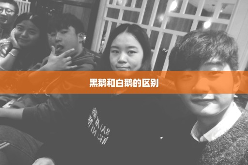 黑鹅和白鹅的区别