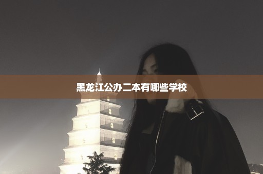 黑龙江公办二本有哪些学校
