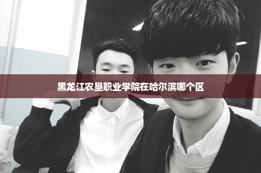 黑龙江农垦职业学院在哈尔滨哪个区