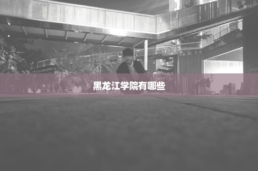 黑龙江学院有哪些