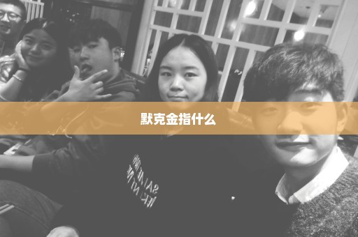 默克金指什么