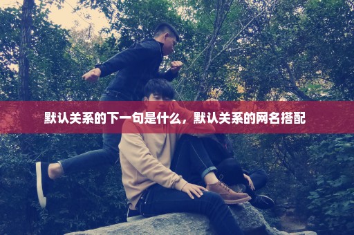 默认关系的下一句是什么，默认关系的网名搭配 