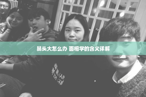 鼻头大怎么办 面相学的含义详解