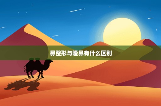 鼻整形与隆鼻有什么区别