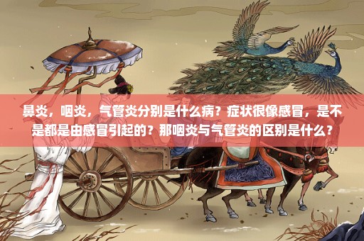鼻炎，咽炎，气管炎分别是什么病？症状很像感冒，是不是都是由感冒引起的？那咽炎与气管炎的区别是什么？