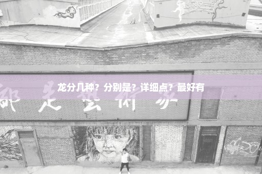 龙分几种？分别是？详细点？最好有