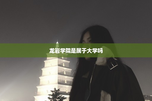 龙岩学院是属于大学吗