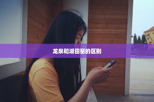 龙泉和湖田窑的区别