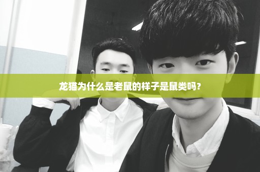 龙猫为什么是老鼠的样子是鼠类吗？
