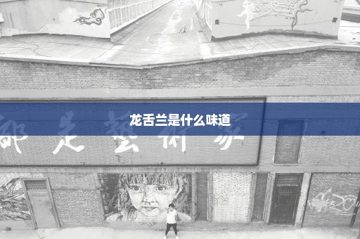 龙舌兰是什么味道