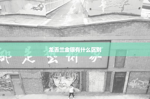 龙舌兰金银有什么区别