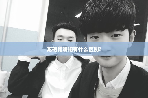 龙袍和蟒袍有什么区别?