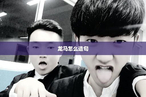 龙马怎么造句