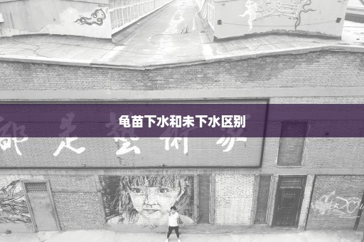 龟苗下水和未下水区别