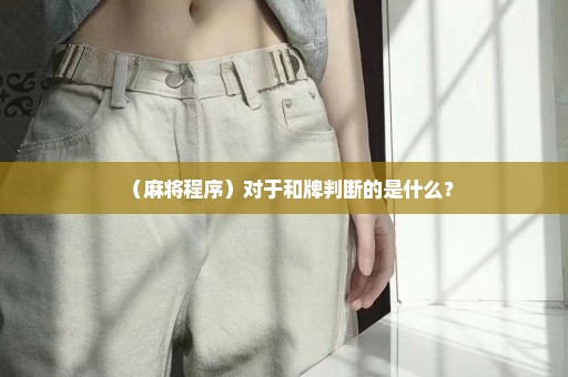 （麻将程序）对于和牌判断的是什么？