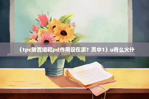 （tpc防置墙和pd作用设在第？页中1）u有么火什
