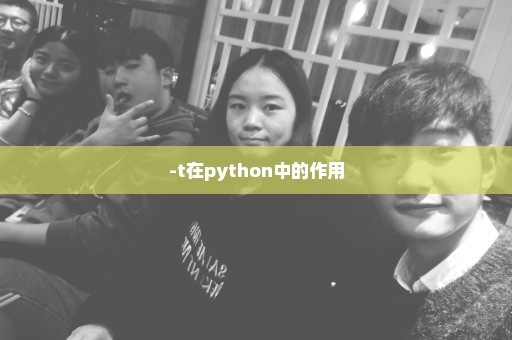-t在python中的作用